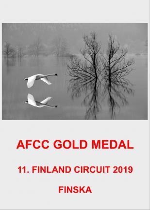 AFCC GOLD 2AA