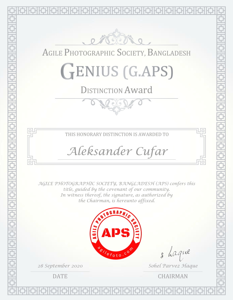 Aleksander Cufar - Genius ( GDD