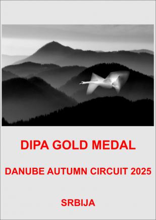 DIPA GM-25-SRBIJA-AAA