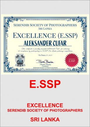 ESSP-AA