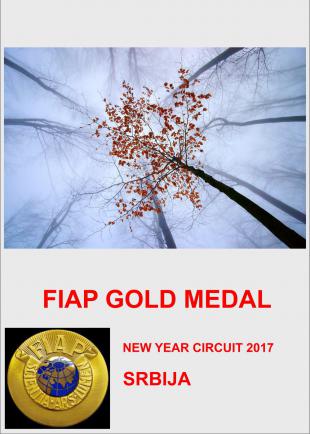 FIAP GOLD NEW YEAR 17AA