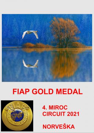 FIAP GOLD NORVESKA-AA