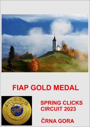 FIAP GOLD SPRING CLICKS 2023-AA