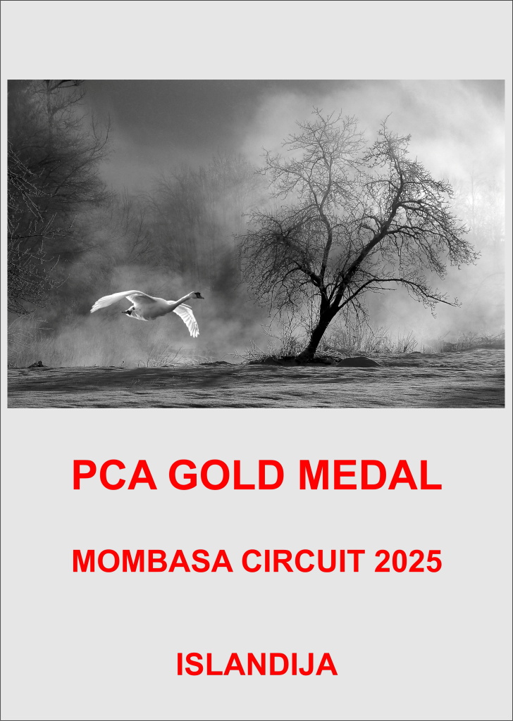 PCA GOLD ISLANDIJA-AA